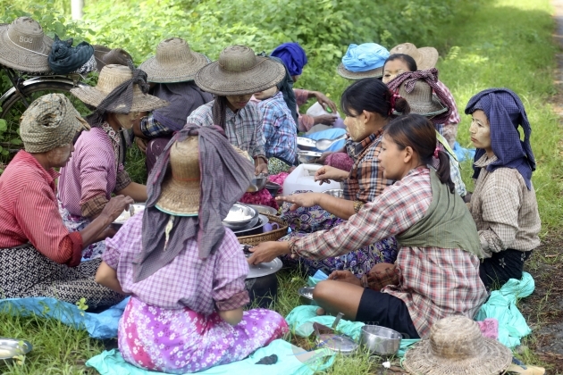 Life of Irrawaddy Delta farmers