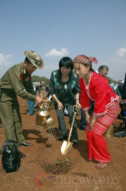 The Jatropha seeds as known as Kyet Su in Burma.