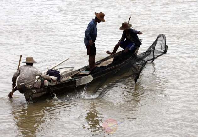Fishermen catch fishes in a river in Nyaung Tone, Burma Irrawaddy Delta, about 60 miles southwest of Rangoon, Burma.