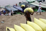 22-05-11 - Photo:- The Irrawaddy Day laborers unload rice sacks from a boat in Nyaung Tone, Burma Irrawaddy Delta, about 60 miles southwest of Rangoon, Burma.