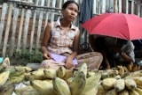 A vendor sells banana at market in Nyaung Tone, Burma Irrawaddy Delta, about 60 miles southwest of Rangoon, Burma.