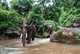 A mahout rides through the river after the elephant's bath