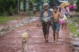People moving to safe places and shelters on 6th August as the houses from some wards in Bago Region were drowned due to the heavy rain and usual tide.