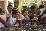 Mon youth association in Rangoon poured water on Boa tree at Shwe Dagon Pagoda on Full Moon Day of Kason, May 2, 2015 and paid obeisance to the pagoda. The association holds the ceremony annually. (Photo: Sai Zaw/The Irrawaddy)