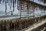 Fish-drying stands at at Andin fishing village (Photo: Tin Htet Paing / The Irrawaddy)