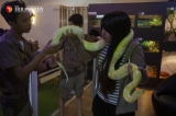 Lizzo and Mammo, a new exotic pets cafe located in Kantawgyi Gardens, Yangon (Photos: Aung Kyaw Htet / The Irrawaddy)