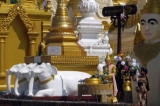 Three statues of white elephants locate at the world famous Shwedagon pagoda in Rangoon, Burma.