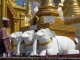 A woman walks through three statues of white elephants at the world famous Shwedagon pagoda in the former capital Rangoon, Burma.