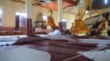 An earthquake damaged the monastery in Tarlay, Easter State, Burma.