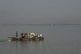 A local vessel with cows crossing Irrawaddy River. (Photo - teza hlaing/ The Irrawaddy)