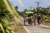 Tin Win has driven a horse-drawn cart through the streets of Kyauktan for the past 35 years,Rangon,Kyauktan, January 19. Photo: Pyay Kyaw / The Irrawaddy