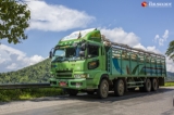 A cattle export car, which carried cows, was seen on Naung Cho-GokeTwin highway road, Shan State on October 31, 2019.  Photo - Htet Wai/ Irrawaddy